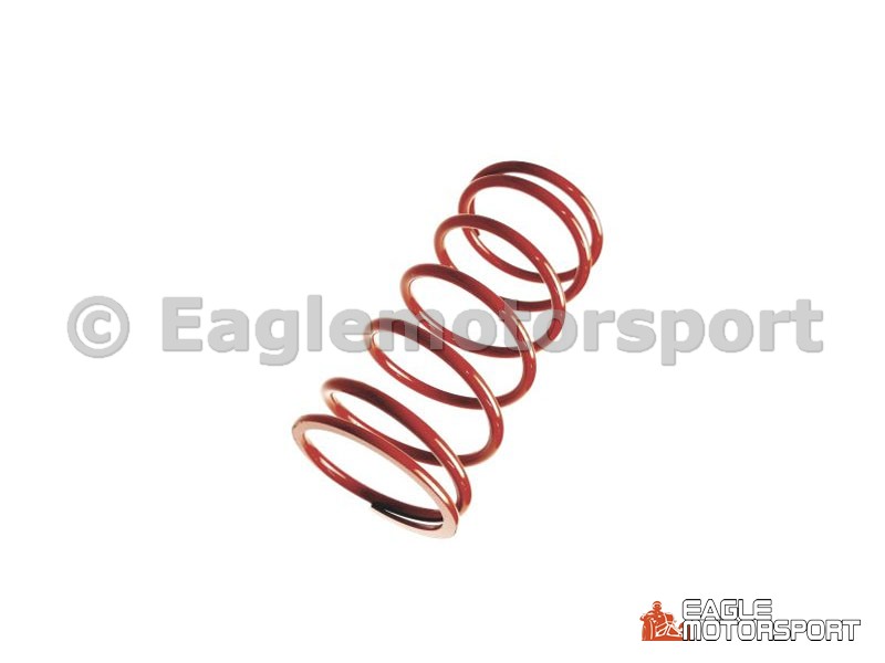 Vario veer, Access DRR100
